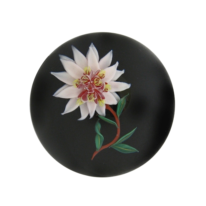 Farfalla Paperweight Ward Mayauel Dahlie Miniatur MW 009