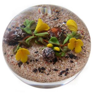 Farfalla Paperweight Ward Mayauel Desert Flowers I MW 049