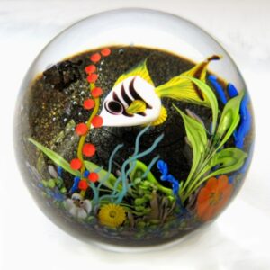 Farfalla Paperweight Ward Mayauel Fisch im Korallenriff MW 3091