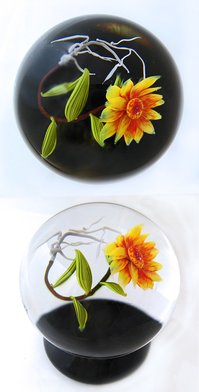 Farfalla Paperweight Ward Mayauel Gelbe Dahlie Piedouche MW 3101