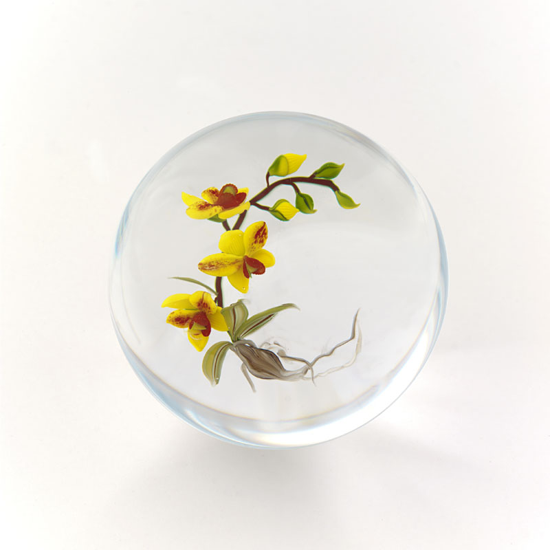 Farfalla Paperweight Ward Mayauel Gelbe Orchidee MW 3027
