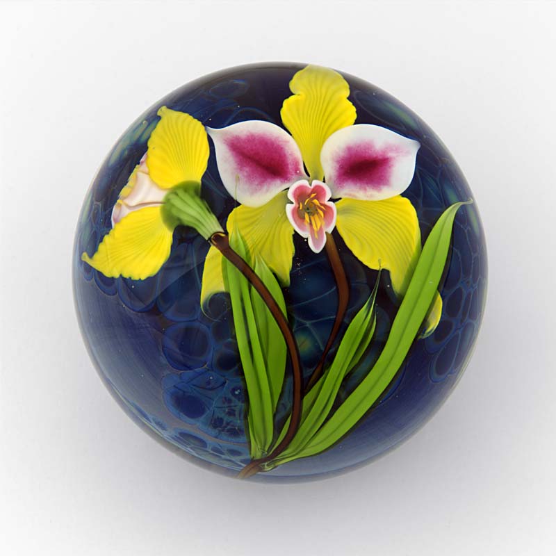 Farfalla Paperweight Ward Mayauel Gelbe Orchidee MW 3067