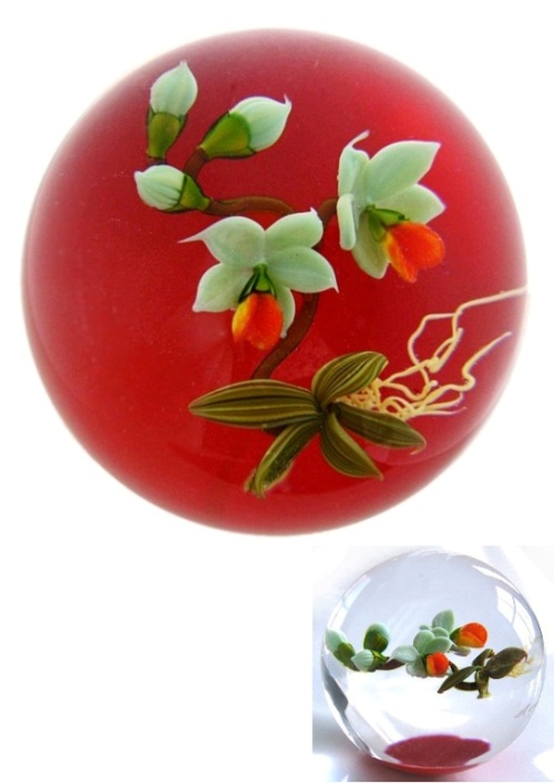 Farfalla Paperweight Ward Mayauel Orchidee Miniatur MW 3113