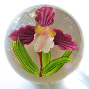 Farfalla Paperweight Ward Mayauel Orchidee MW 3104