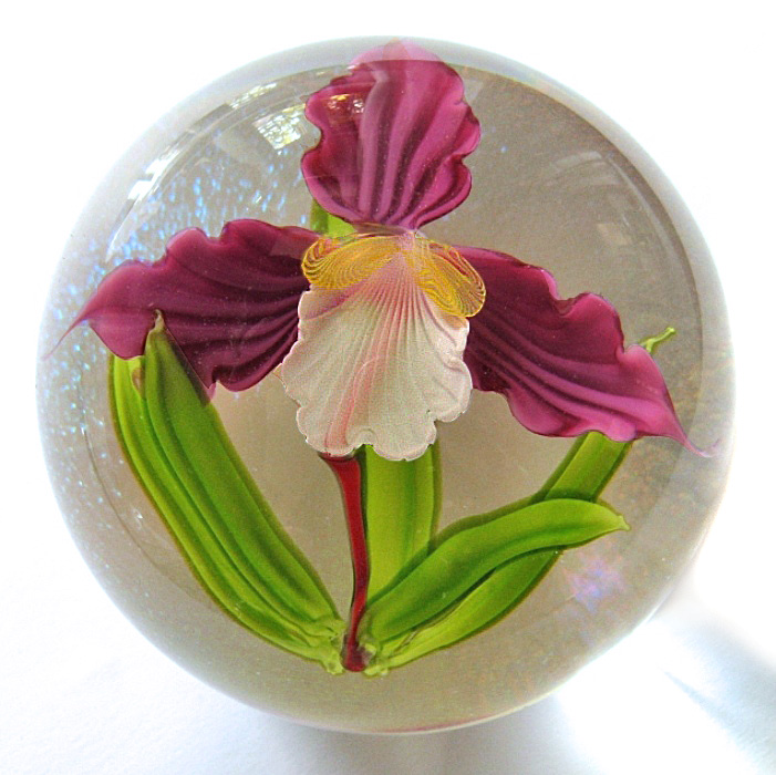 Farfalla Paperweight Ward Mayauel Orchidee MW 3104