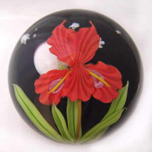Farfalla Paperweight Ward Mayauel Rote Iris MW 3093