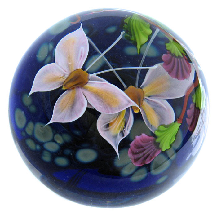 Farfalla Paperweight Ward Mayauel Schmetterlinge MW 3109