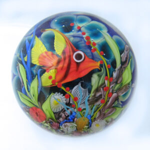 Farfalla Paperweight Ward Mayauel Tropische Unterwasserwelt MW 3090 4