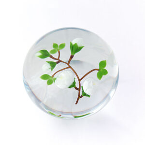 Farfalla Paperweight Ward Mayauel Weisse Rose Cloe MW 3048