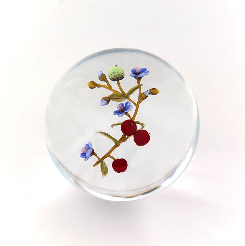 Farfalla Paperweight Ward Mayauel Wildbeeren MW 3026