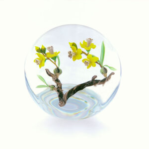 Farfalla Paperweight Ward Mayauel Yosemite Wildflower MW 3016