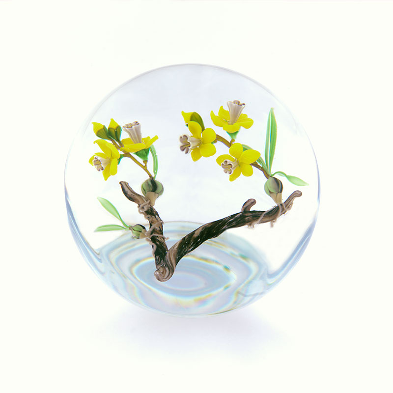 Farfalla Paperweight Ward Mayauel Yosemite Wildflower MW 3016