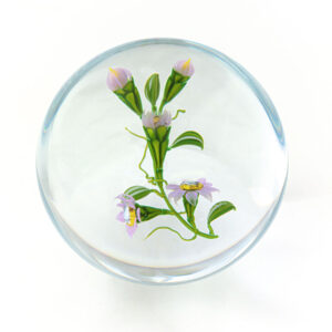 Farfalla Paperweight Ward Mayauel Yosemite Wildflower MW 3056