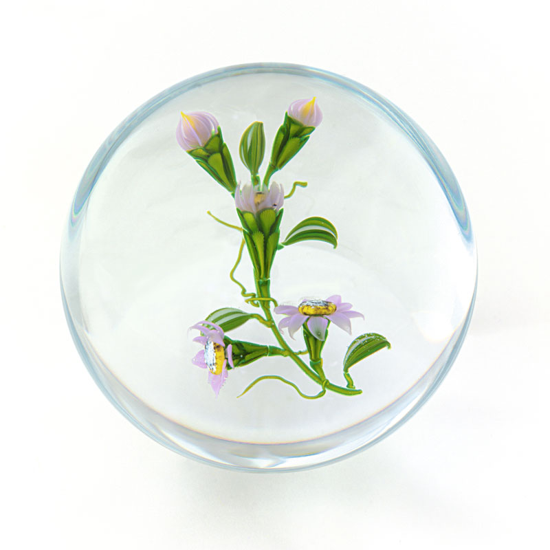 Farfalla Paperweight Ward Mayauel Yosemite Wildflower MW 3056
