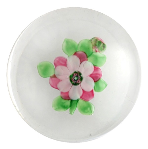 Farfalla Paperweight Zweifarbige Kamelie 1034 CL